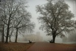 Gyula város ködben